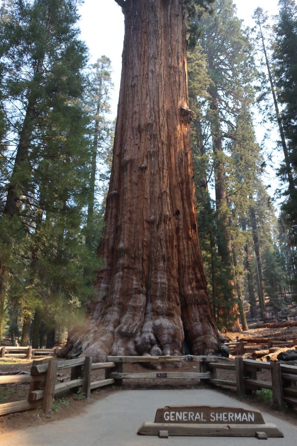 USA - Panamint Springs - Sequoia NP
