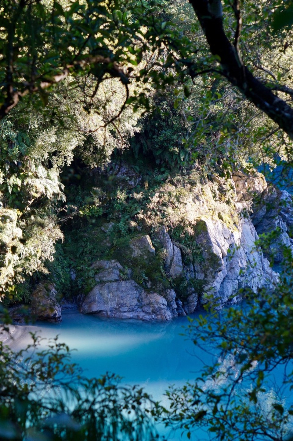 Neuseeland - Franz Josef Glacier - 