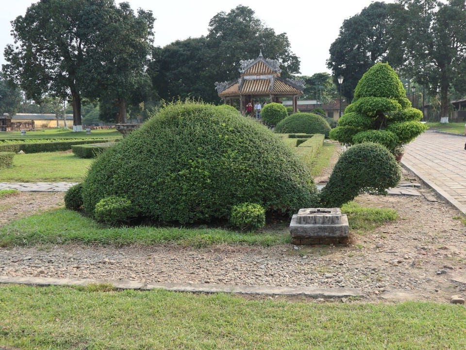 Vietnam - Huế - Turtle Power