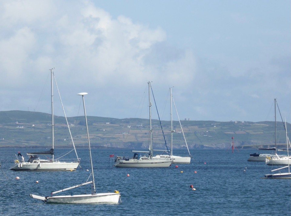 Ireland - Schull - Avalon in the harbour.