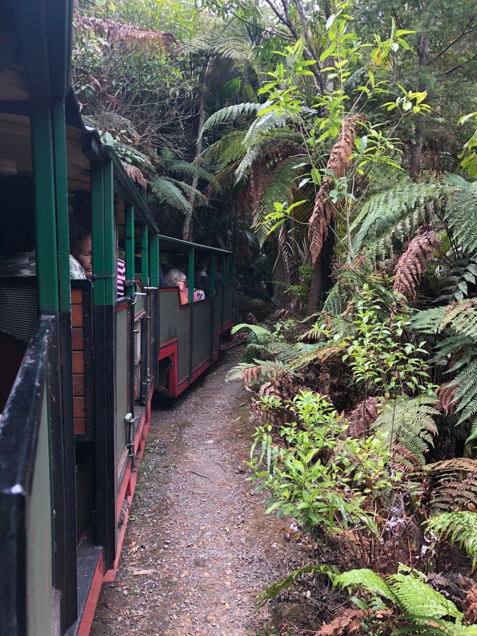 Neuseeland - Coromandel - Fahrt mit der Driving Creek Railway in Coromandel ....