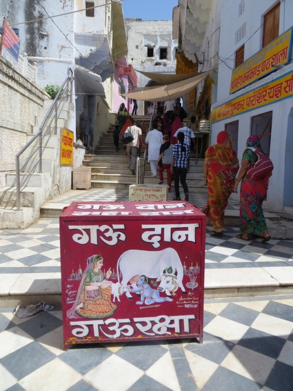 India - Pushkar - 
