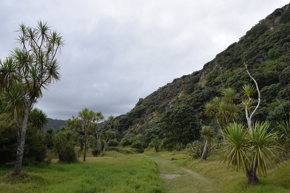 Neuseeland - Karekare - 