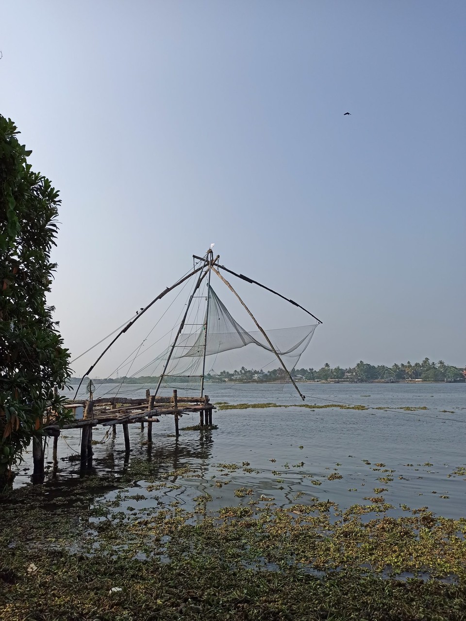 Indien - Kochi - Das berühmte an Kochi: die chinesischen Fischnetze