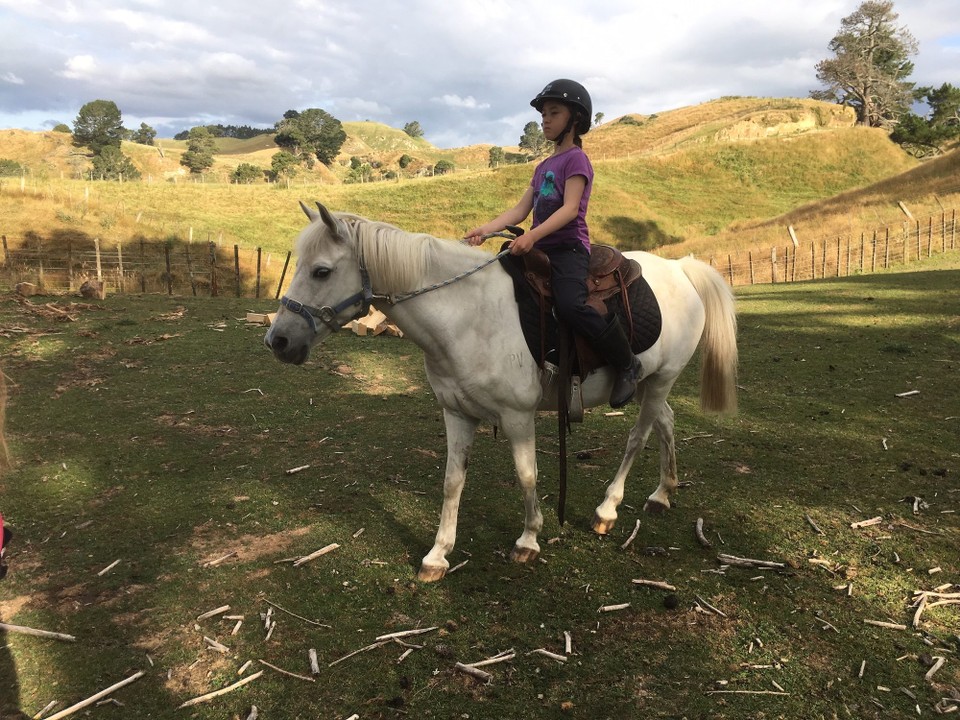 Neuseeland - Atiamuri - Ich bin auf einem Pferd geritten 