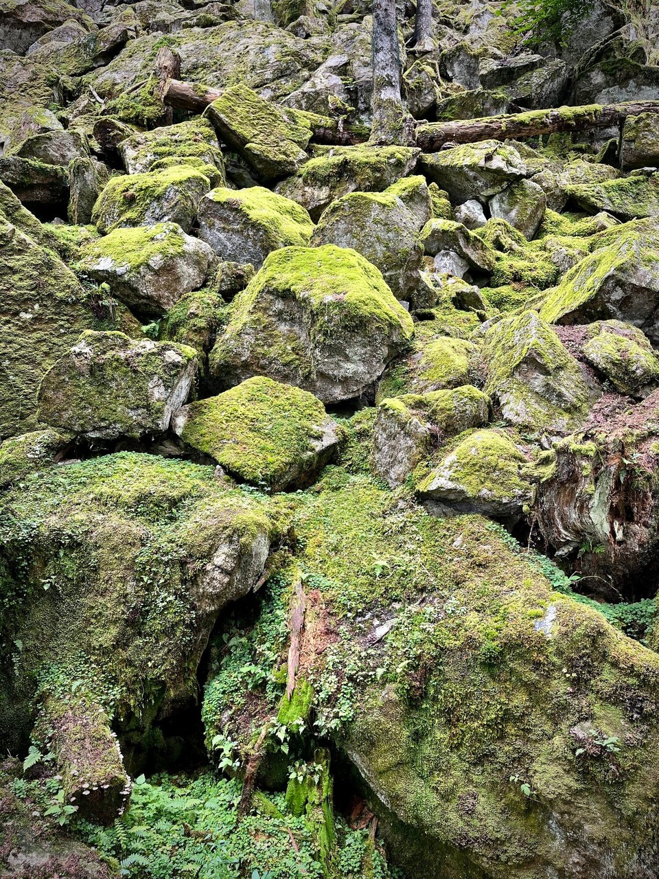 Frankreich - Bagnères-de-Bigorre - 