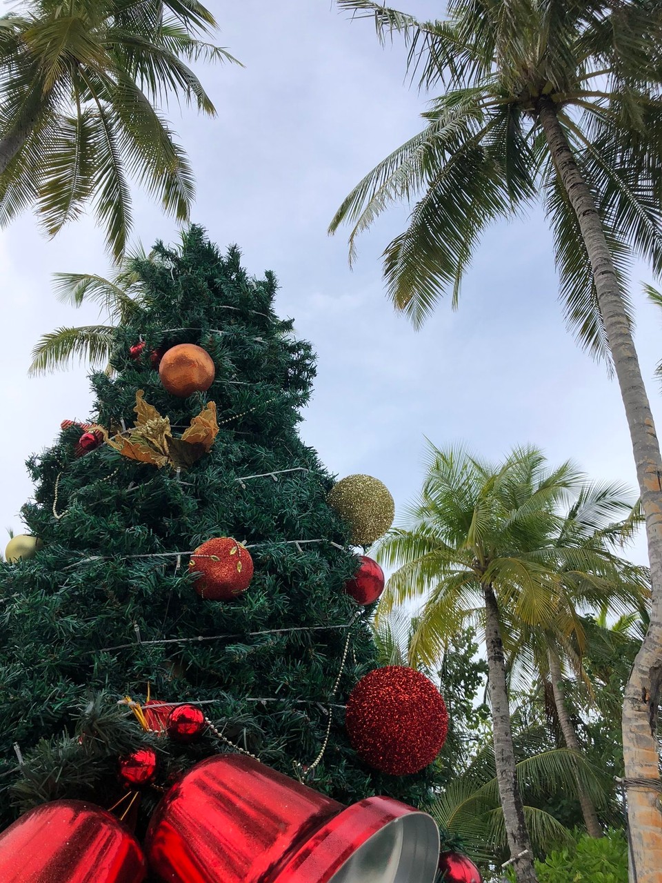 Maldives - Rangali - 
