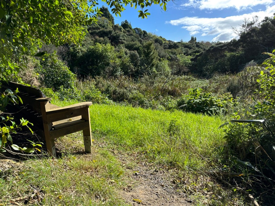 Neuseeland - Paihia - Nettes Plätzchen am Weg