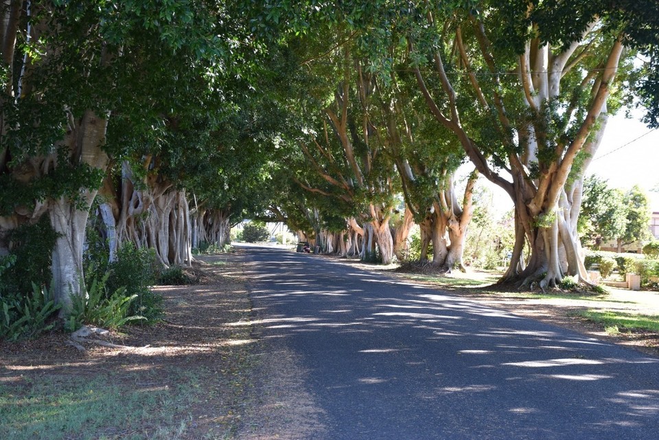 Australien - Yamba - 