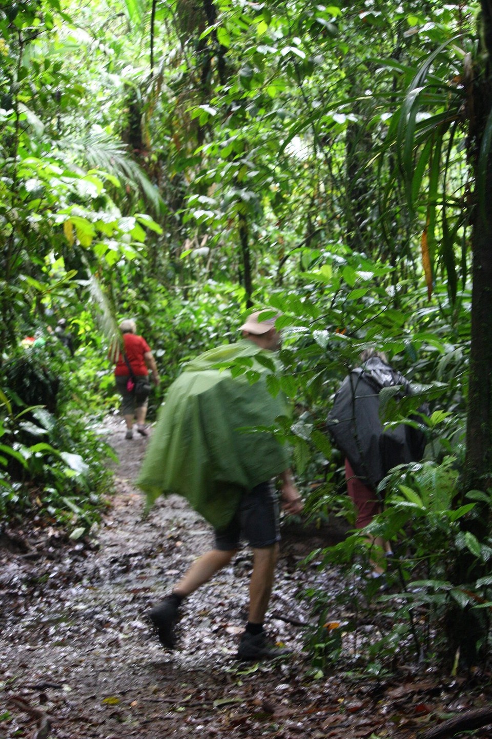 Costa Rica - La Fortuna - 