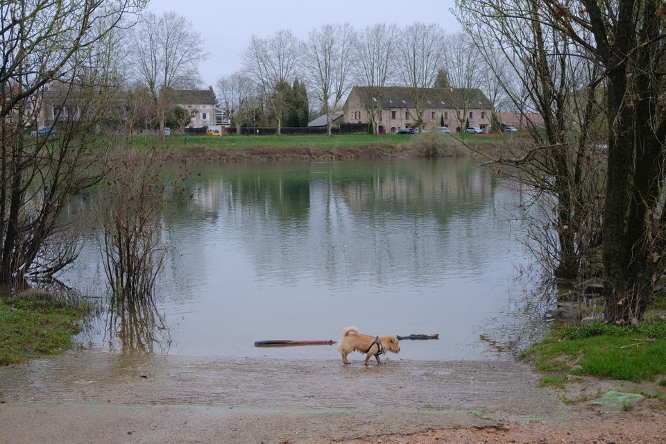 Frankreich - Tournus - 