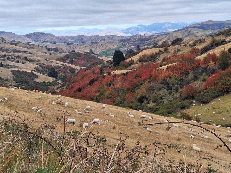 Neuseeland - Kaikoura - Der Herbst ist angekommen....