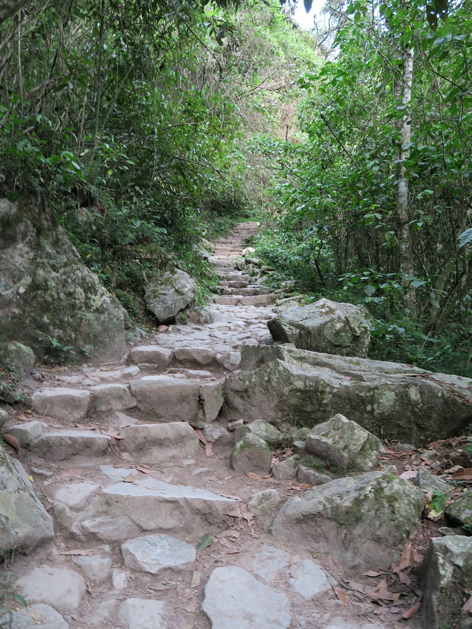 Peru - Machu Picchu - Environ 1800 marches, ça met en forme !