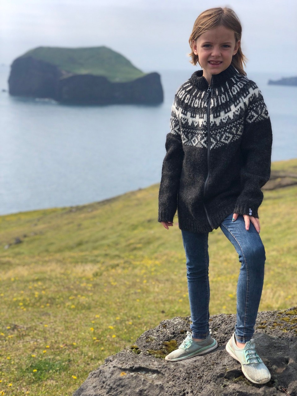 Island - Vestmannaeyjar - Wir wandern und klettern herum. Im Meer sind nach langem mal wieder Wale zu beobachten. In einiger Entfernung brüten Papageitaucher. So schön, das alles noch einmal an unserem letzten Ferientag hier in Island zu Gesicht zu bekommen.
