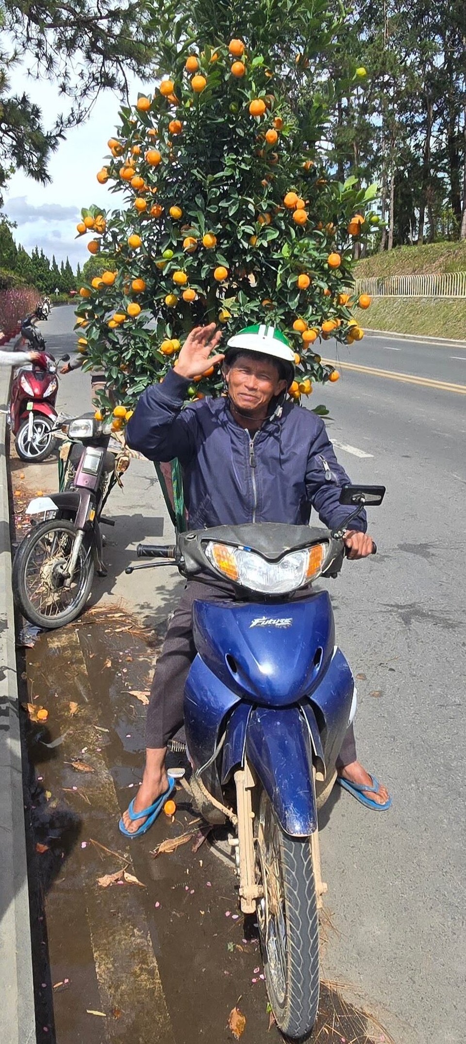 Vietnam - Da Lat - 
