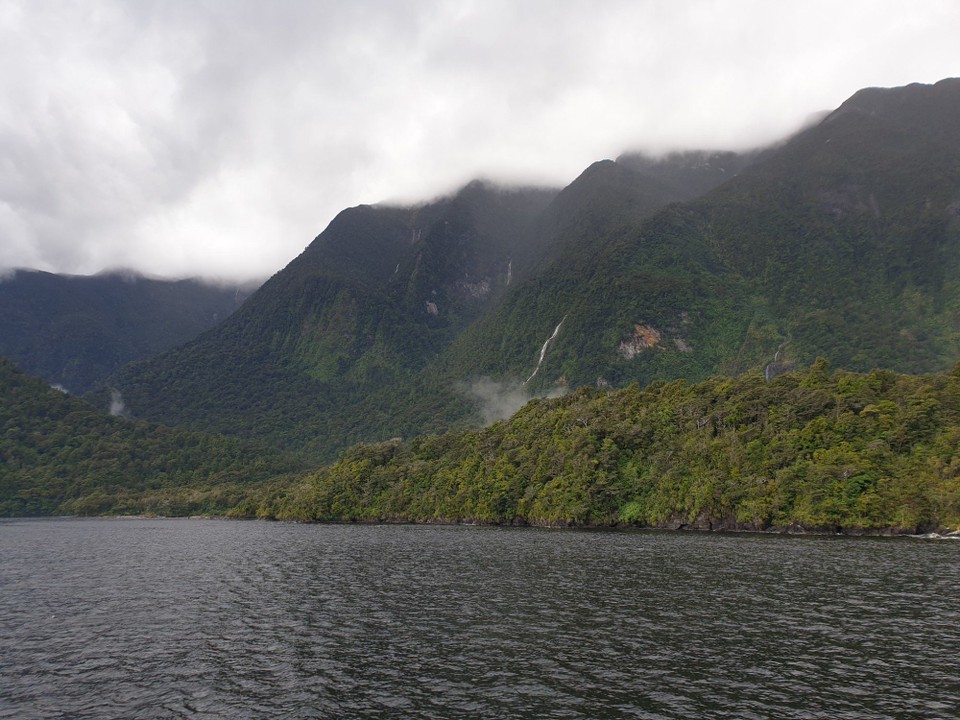 Neuseeland - Doubtful Sound - 
