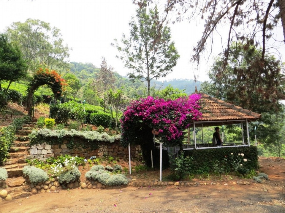 Indien - Coonoor - 