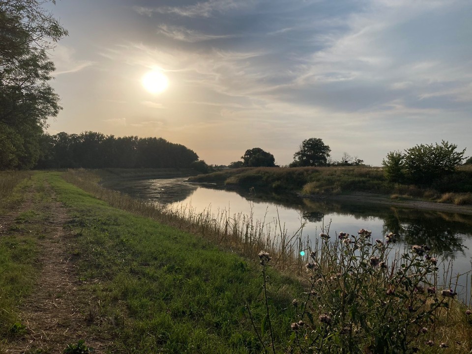 Deutschland - Barby - Die Saale bei Klein Rosenburg