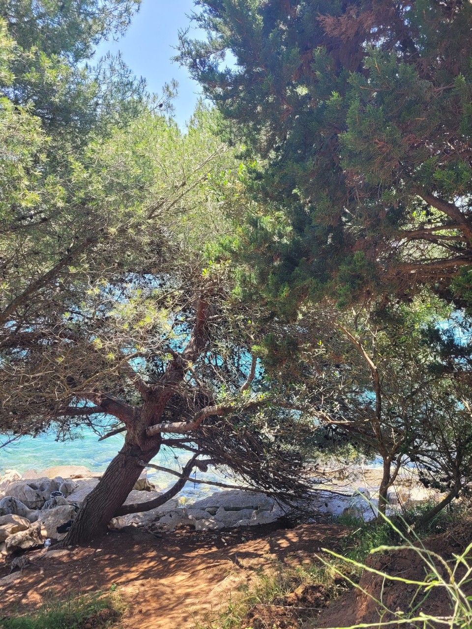 Kroatien - Premantura - 