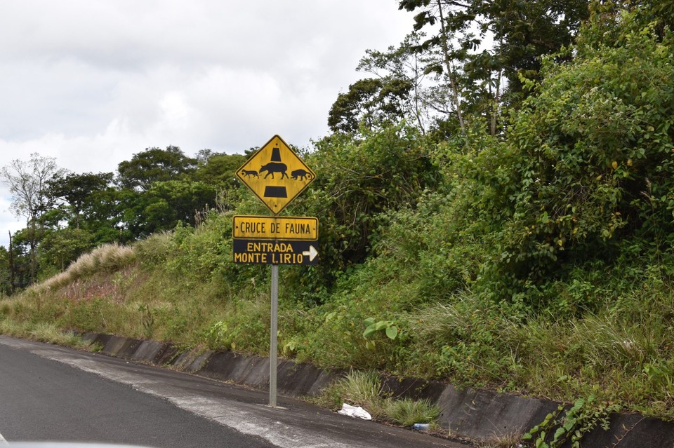 Costa Rica - San Carlos - So sieht hier Wildwechsel aus.