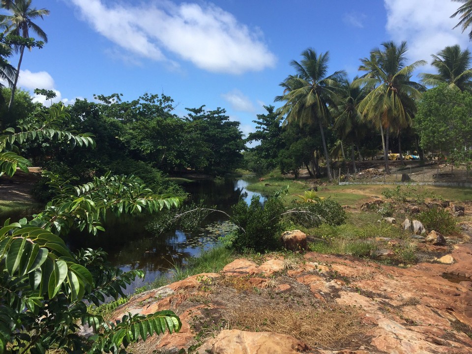 Brasilien - Jandaíra - Imbassai Fluss