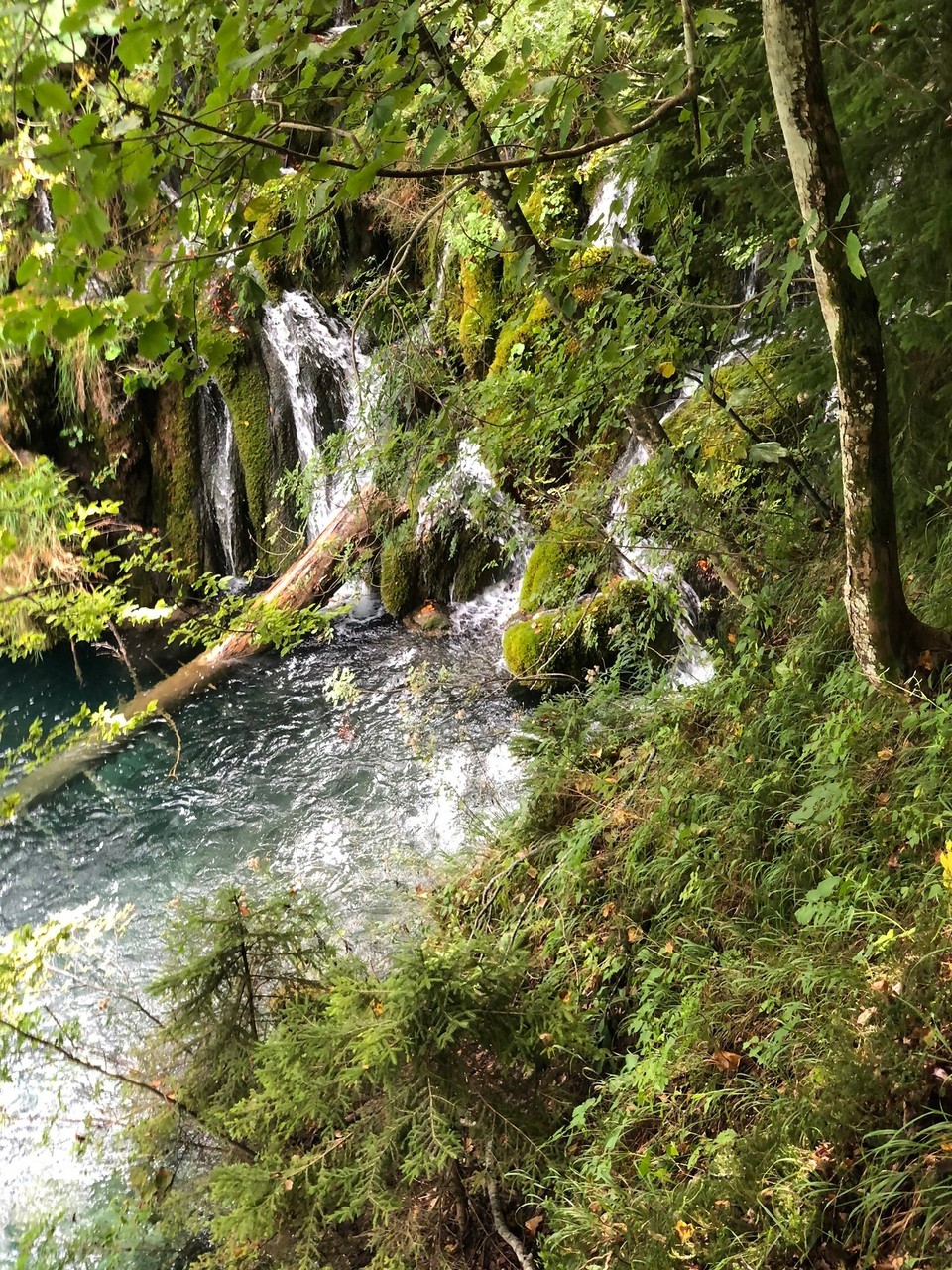 Kroatien - Plitvička jezera - 