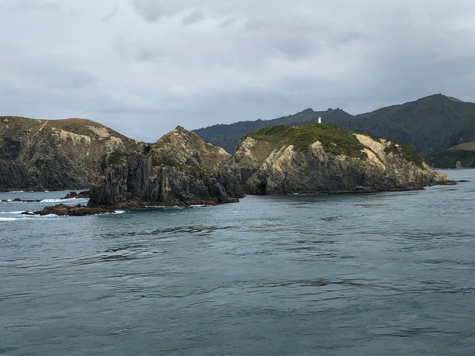 Neuseeland - Martinborough - West Head am Ende der Marlborough Sounds
