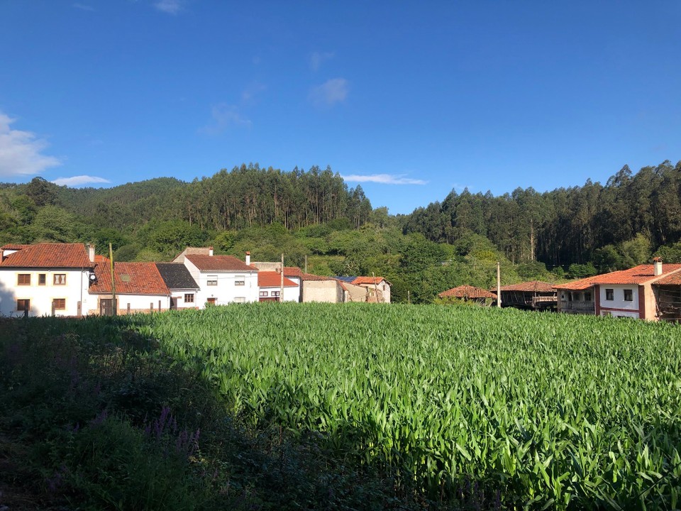 Spanien - Villaviciosa - 