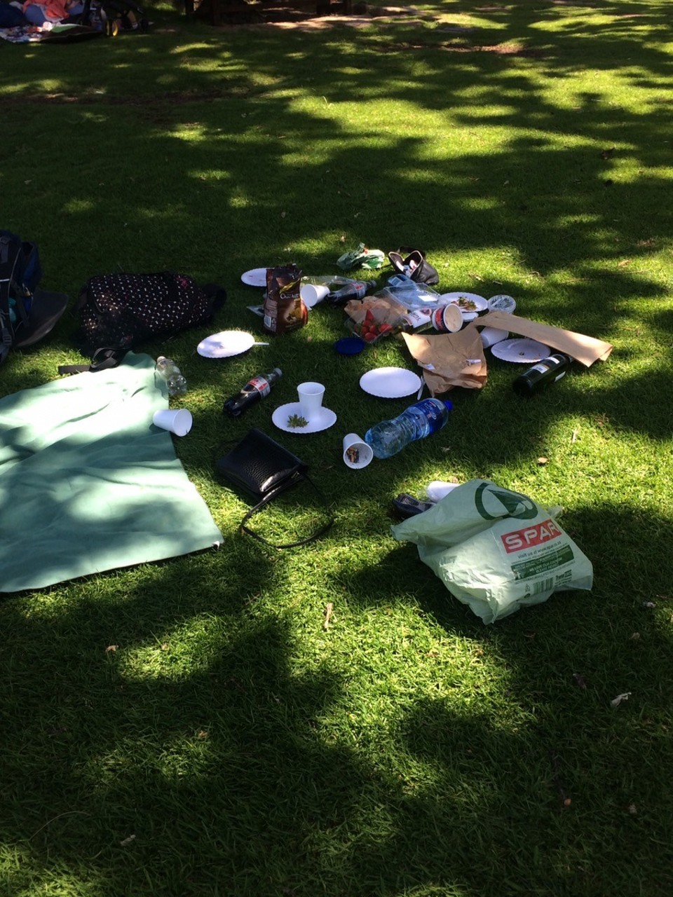  - Südafrika, Kirstenbosch - 