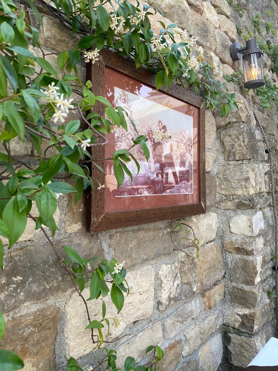 Kroatien - Motovun - 