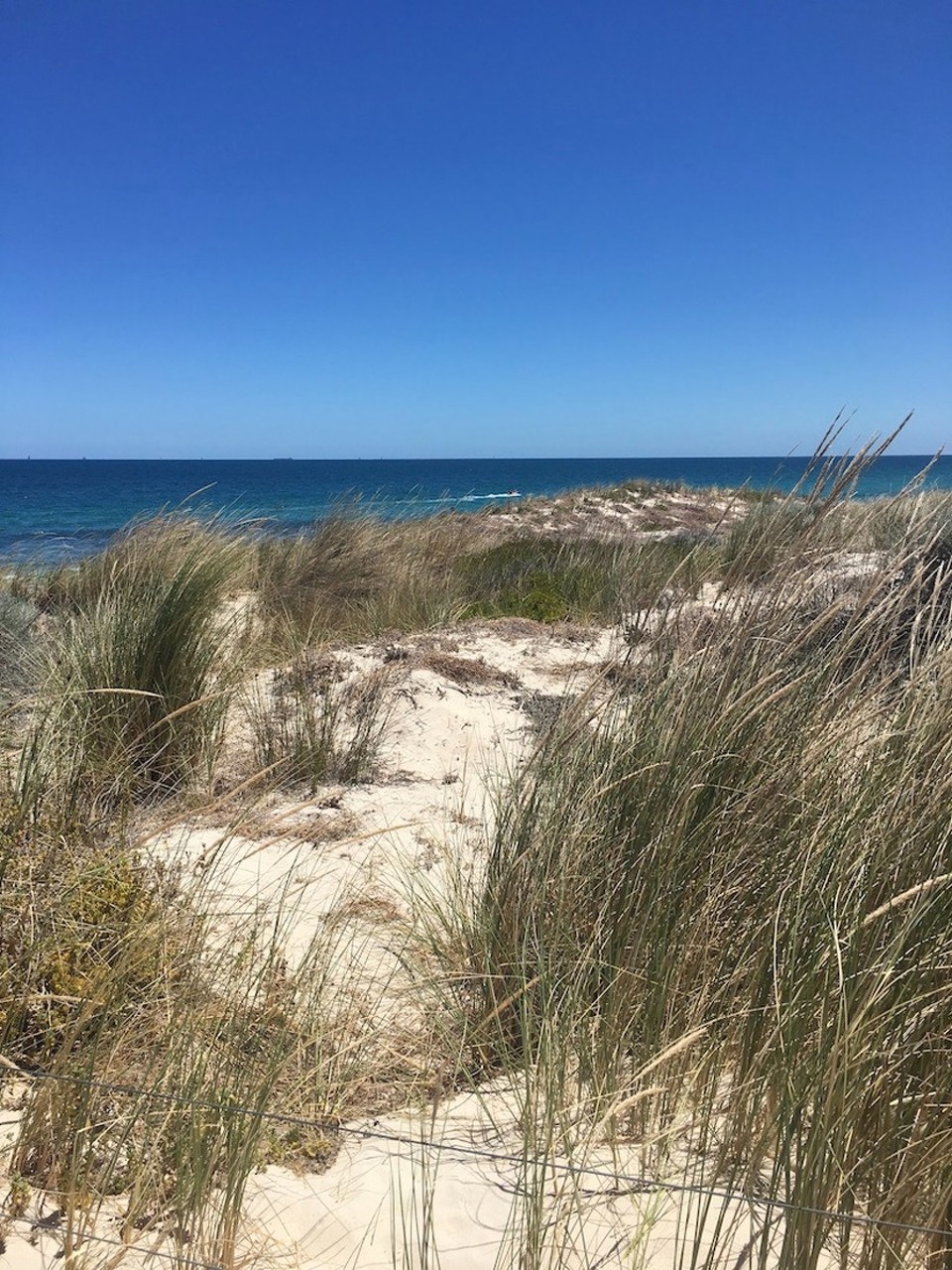 Australien - Perth - die Dünen