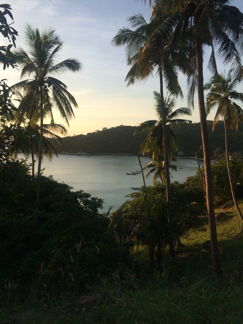 Thailand - Ko Tao - 
