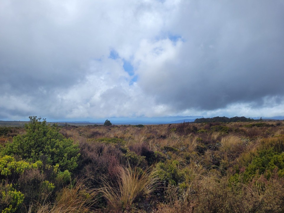 Neuseeland - Tongariro-Nationalpark - 