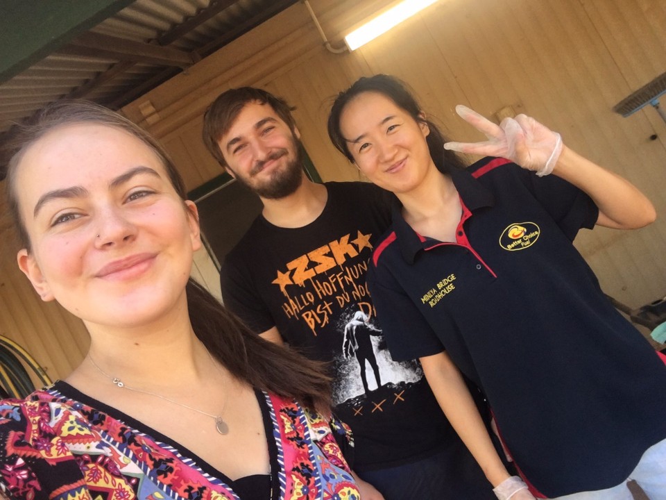 Australien - Minilya - Letzte Bilder mit ...Tina 