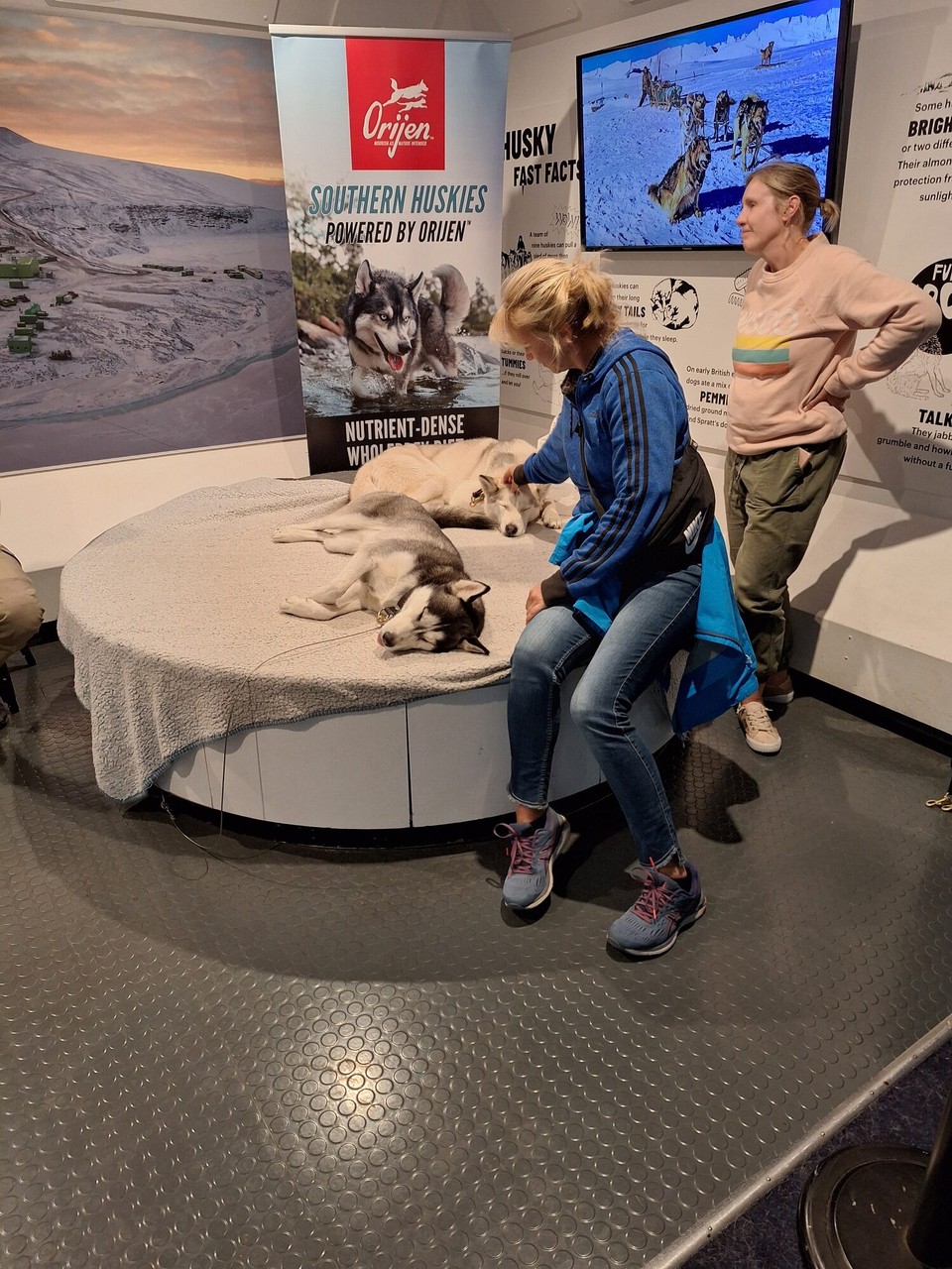 Neuseeland - Christchurch - So süüüß