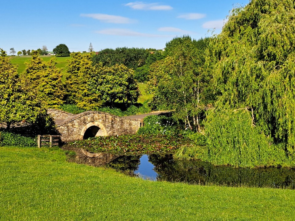 Neuseeland - Pirongia - 