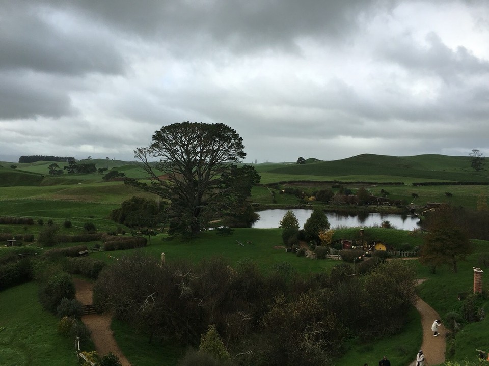 New Zealand - Matamata - Der Party-Tree - wer den Film kennt: hier war das Feuerwerk an Bilbos Geburtstag 
