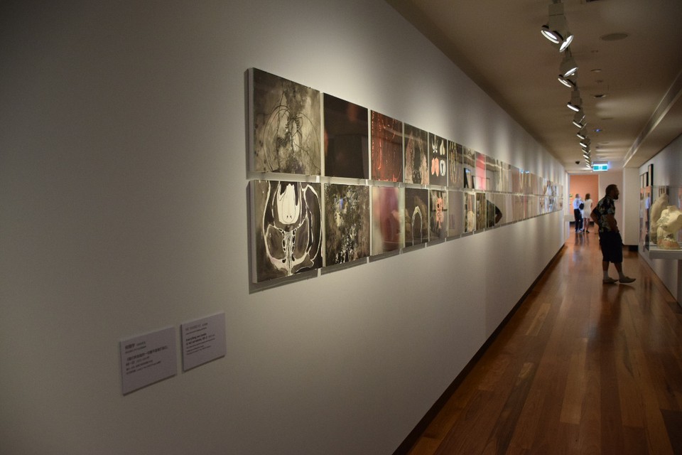 Australien - Brisbane - Diese Bilder sind von chinesischen Künstlern mit Tinte aus eingedampfter Cola gemalt worden…