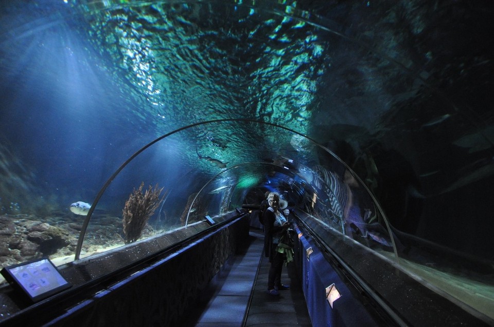Neuseeland - Auckland - 