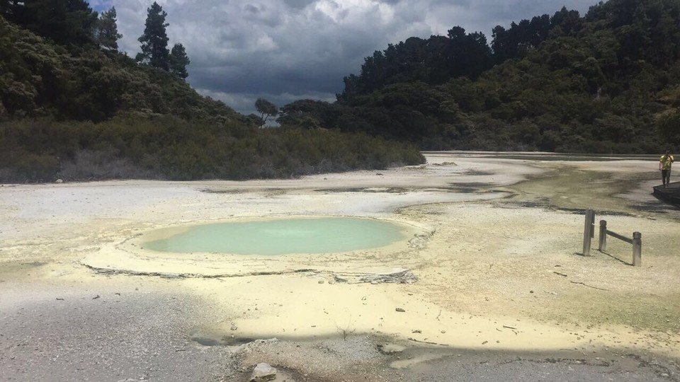 New Zealand - Waiotapu - 
