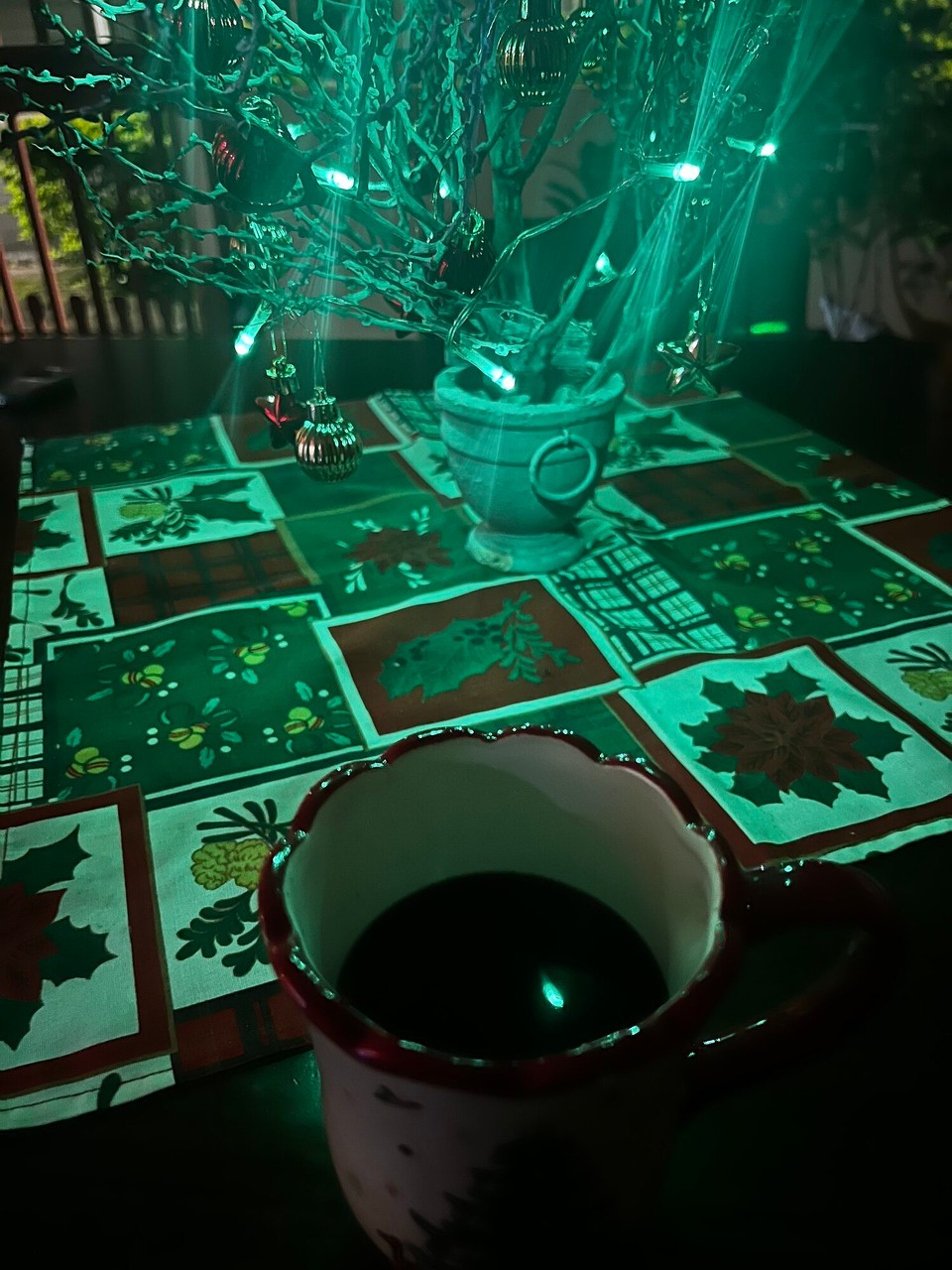 México - Venustiano Carranza - Am Mittwoch hani dihei Glüehwii gmacht. Eigentlich wär plant gsi, dasi no e Fläsche id Schuel bringe, damit d‘Lüt det au chönned Probiere aber denn ish en Kollegin us de Usa spontan verbii cho und es het vo dene 2 fläsche nüt meh übrig gha. Han denn ide Schuel nomol e fläsche gmacht. 