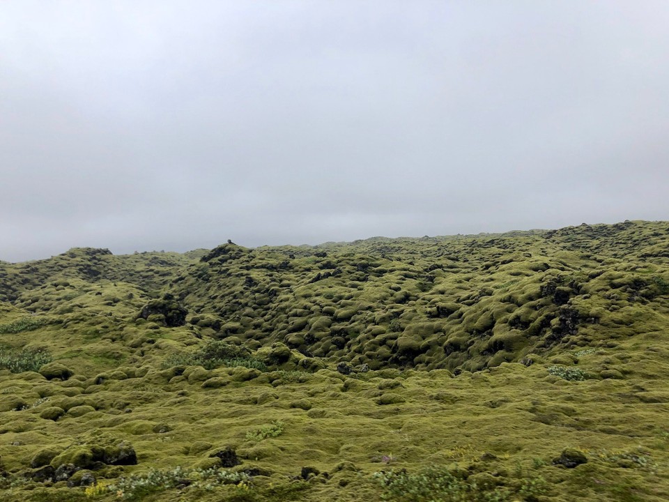 Island - Skaftárhreppur - Auch schön...