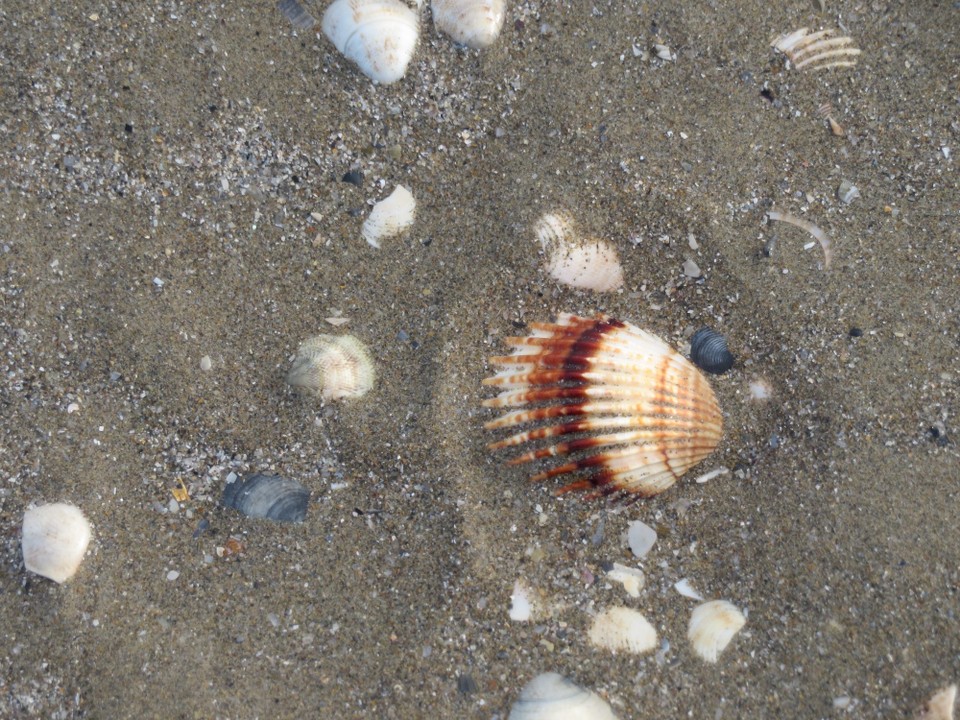 Italien - Lido di Venezia - 