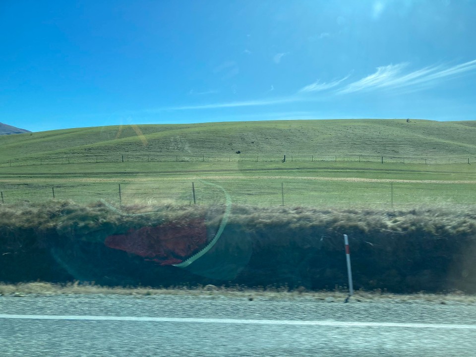 Neuseeland - Pukaki - Es wird grüner 😀