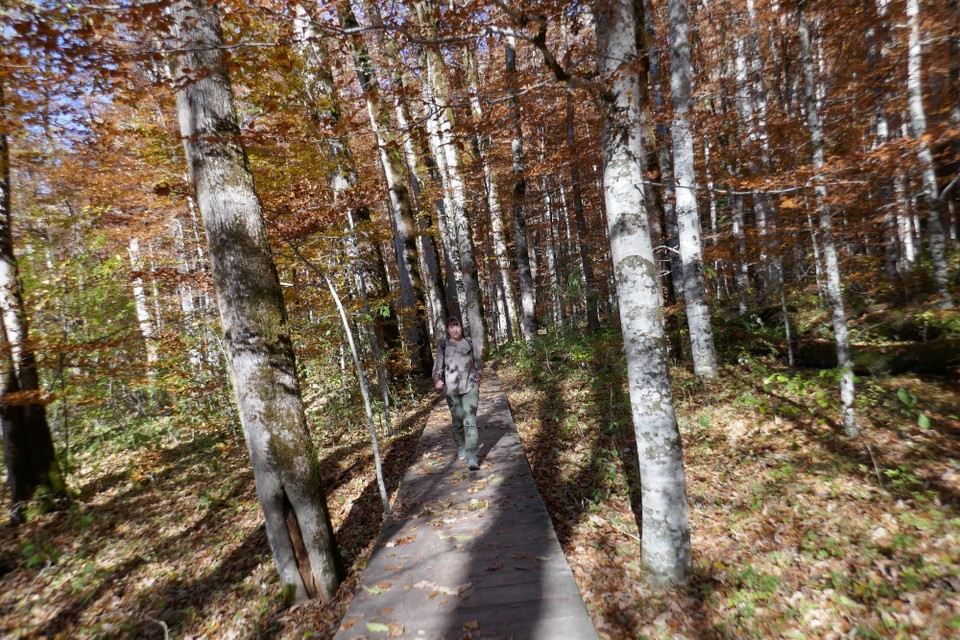 Montenegro - Nationalpark Biogradska Gora - 