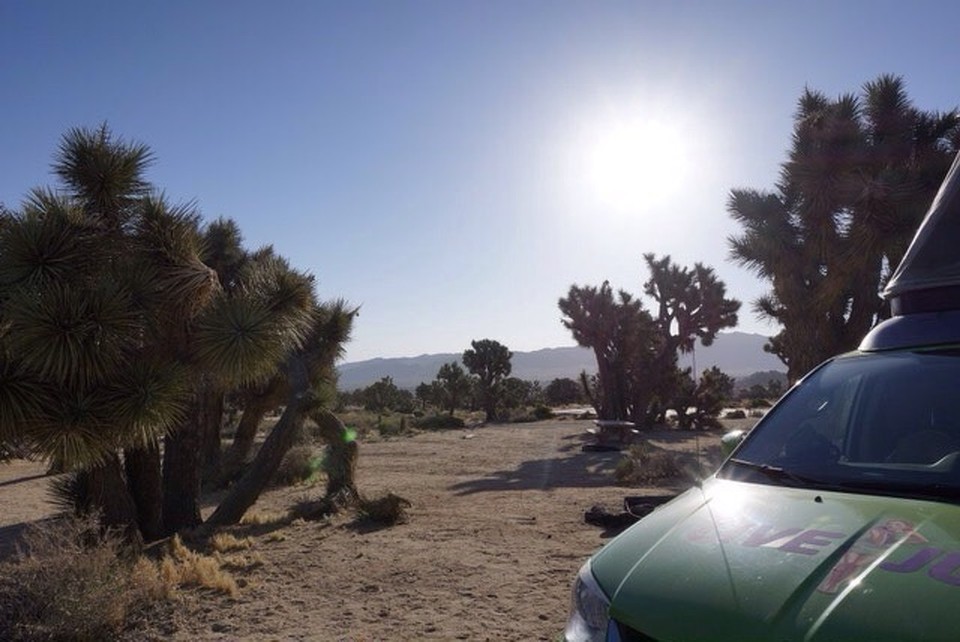 Vereinigte Staaten - Yucca Valley - 