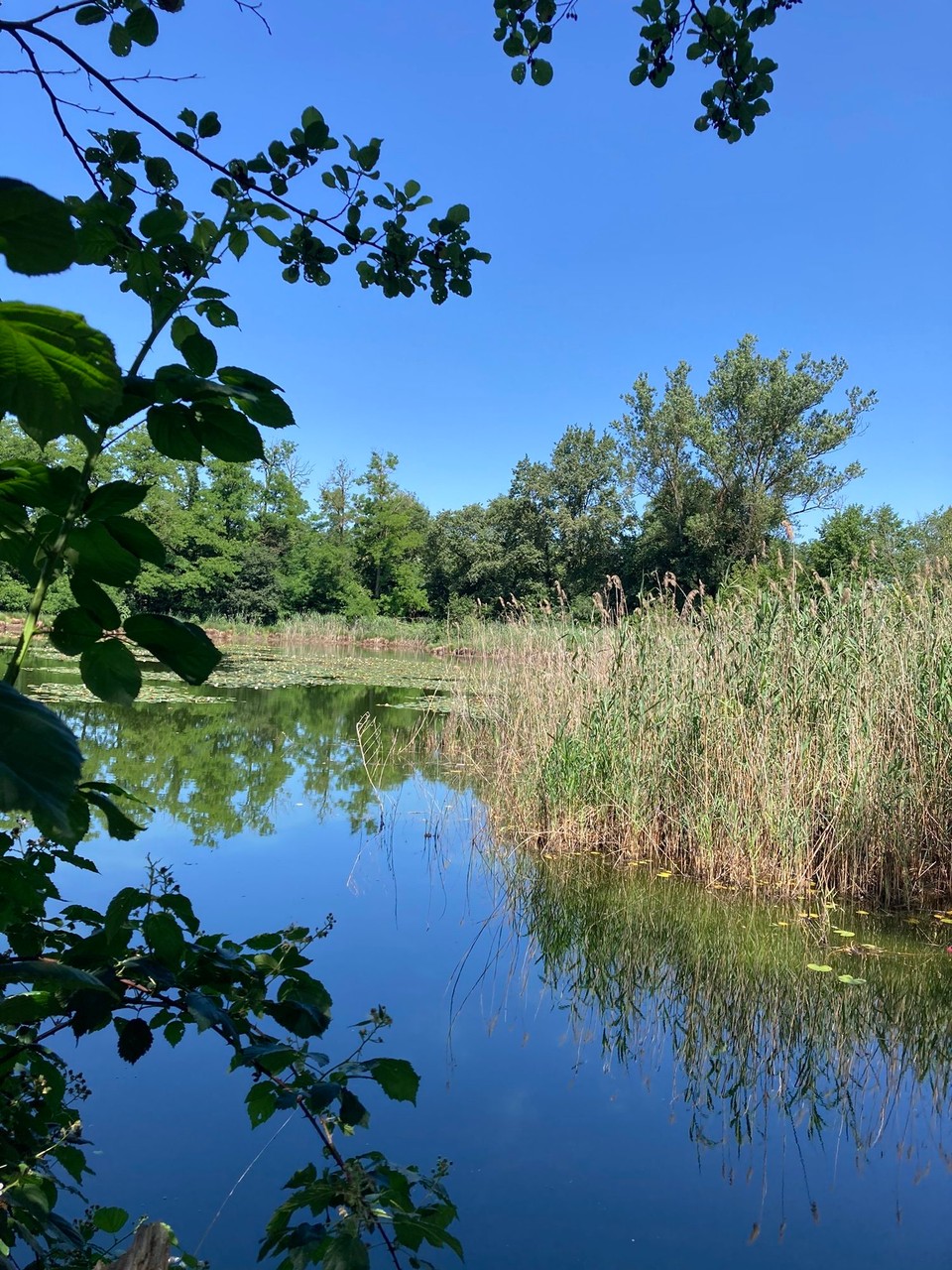 Italien - Dormelletto - Eindrücke aus dem Naturpark
