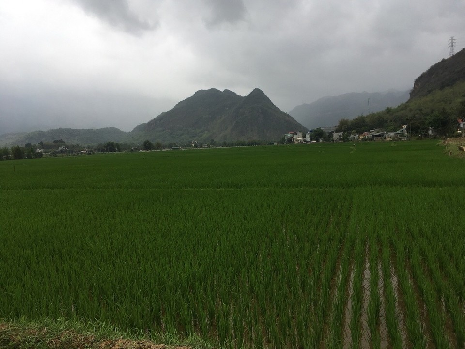 Vietnam - H. Mai Châu - 