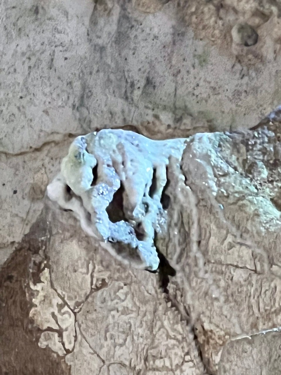 Italien - Castelcivita - 
