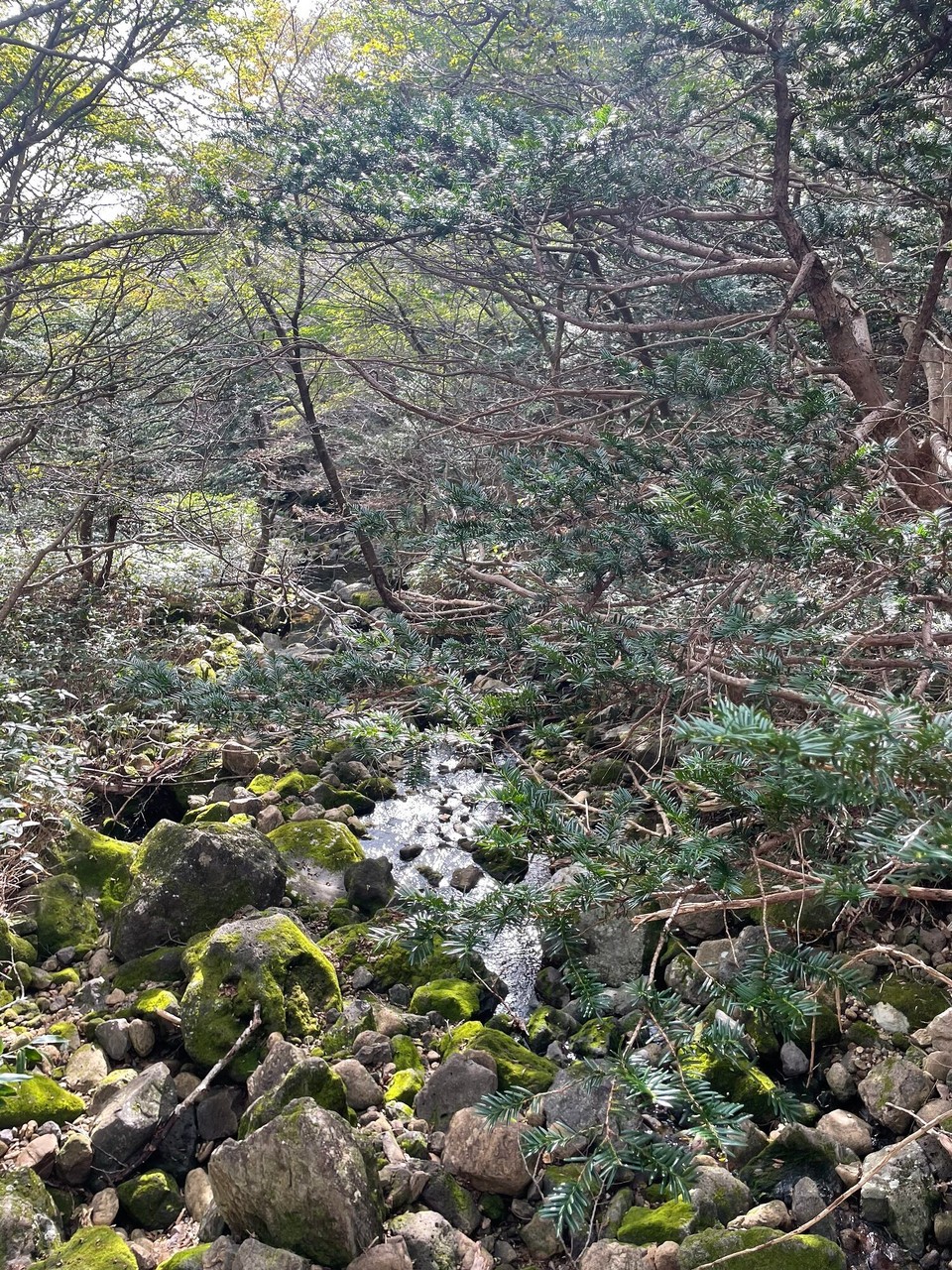 대한민국 - 제주시 - 
